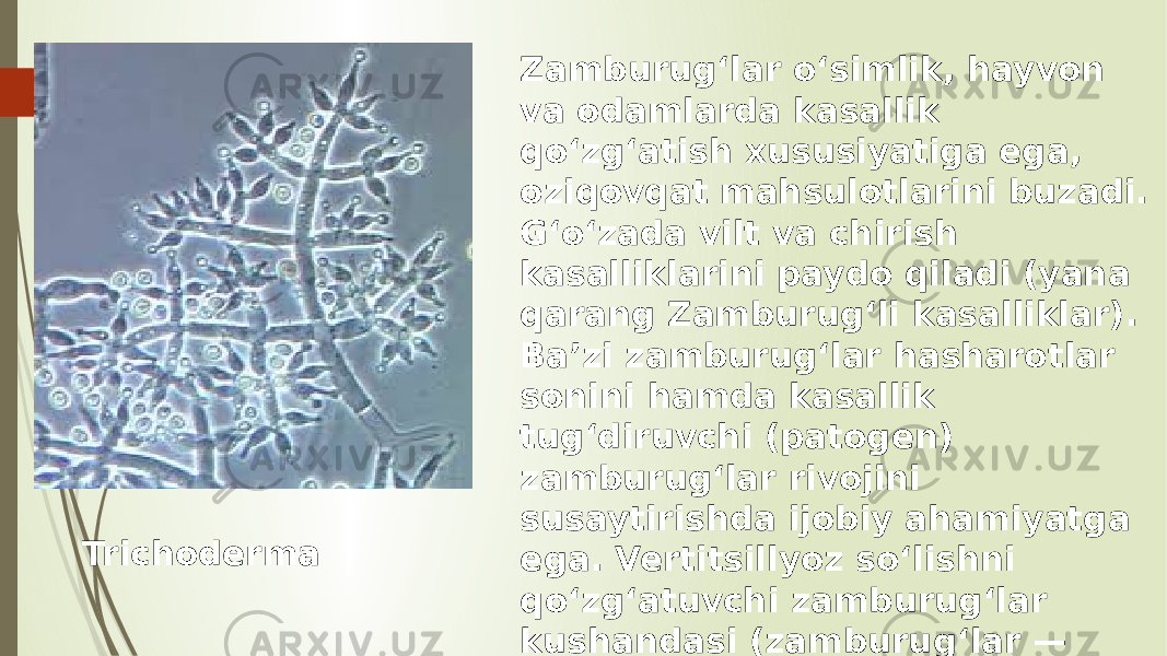 Zamburugʻlar oʻsimlik, hayvon va odamlarda kasallik qoʻzgʻatish xususiyatiga ega, oziqovqat mahsulotlarini buzadi. Gʻoʻzada vilt va chirish kasalliklarini paydo qiladi (yana qarang Zamburugʻli kasalliklar). Baʼzi zamburugʻlar hasharotlar sonini hamda kasallik tugʻdiruvchi (patogen) zamburugʻlar rivojini susaytirishda ijobiy ahamiyatga ega. Vertitsillyoz soʻlishni qoʻzgʻatuvchi zamburugʻlar kushandasi (zamburugʻlar — antagonist)ga Trichoderma Iignoram Hars., Aspergilius sp., Penicillim sp. va boshqalar kiradi.Trichoderma 