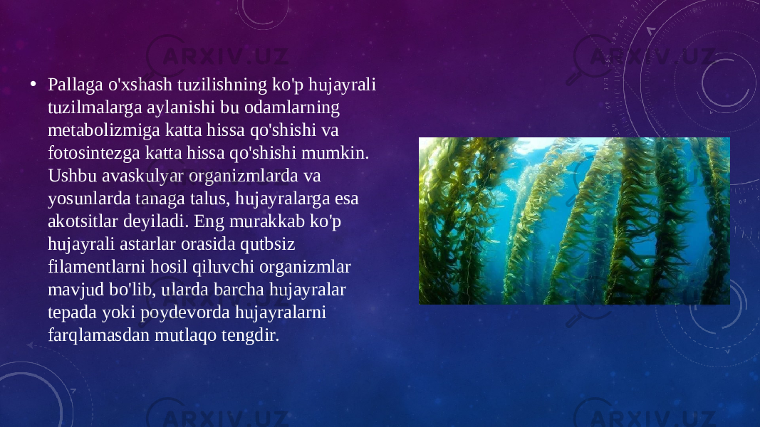 • Pallaga o&#39;xshash tuzilishning ko&#39;p hujayrali tuzilmalarga aylanishi bu odamlarning metabolizmiga katta hissa qo&#39;shishi va fotosintezga katta hissa qo&#39;shishi mumkin. Ushbu avaskulyar organizmlarda va yosunlarda tanaga talus, hujayralarga esa akotsitlar deyiladi. Eng murakkab ko&#39;p hujayrali astarlar orasida qutbsiz filamentlarni hosil qiluvchi organizmlar mavjud bo&#39;lib, ularda barcha hujayralar tepada yoki poydevorda hujayralarni farqlamasdan mutlaqo tengdir. 