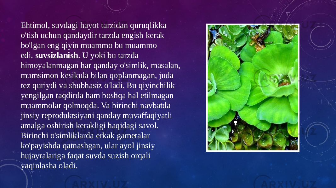 Ehtimol, suvdagi hayot tarzidan quruqlikka o&#39;tish uchun qandaydir tarzda engish kerak bo&#39;lgan eng qiyin muammo bu muammo edi.  suvsizlanish . U yoki bu tarzda himoyalanmagan har qanday o&#39;simlik, masalan, mumsimon kesikula bilan qoplanmagan, juda tez quriydi va shubhasiz o&#39;ladi. Bu qiyinchilik yengilgan taqdirda ham boshqa hal etilmagan muammolar qolmoqda. Va birinchi navbatda jinsiy reproduktsiyani qanday muvaffaqiyatli amalga oshirish kerakligi haqidagi savol. Birinchi o&#39;simliklarda erkak gametalar ko&#39;payishda qatnashgan, ular ayol jinsiy hujayralariga faqat suvda suzish orqali yaqinlasha oladi. 