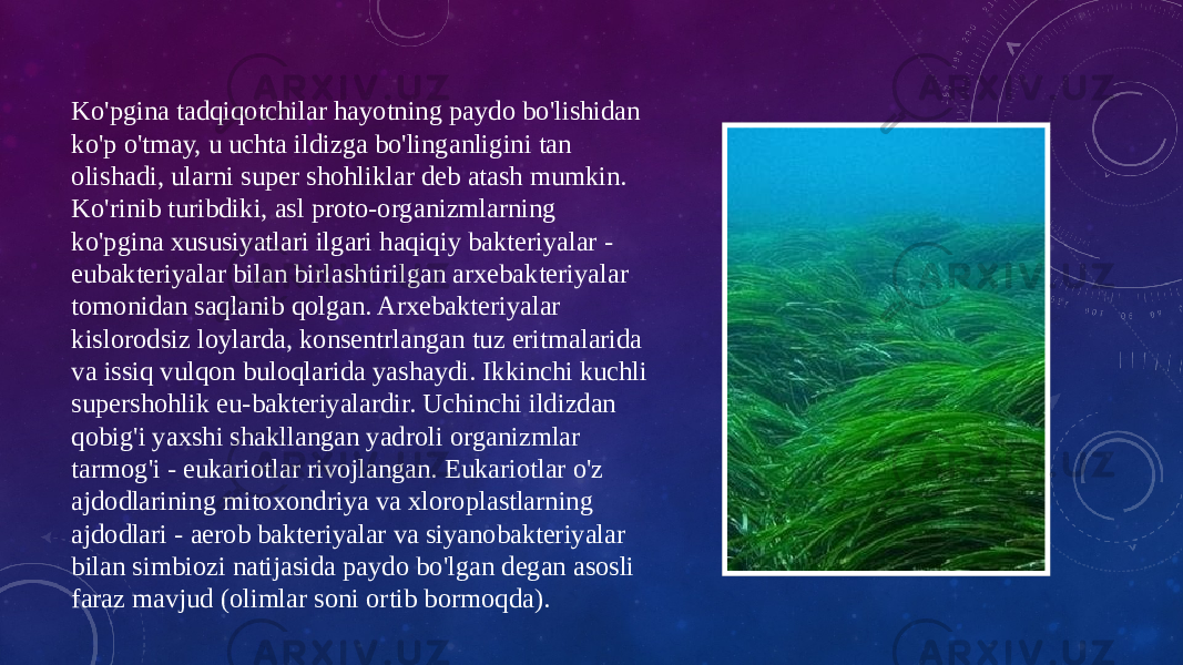 Ko&#39;pgina tadqiqotchilar hayotning paydo bo&#39;lishidan ko&#39;p o&#39;tmay, u uchta ildizga bo&#39;linganligini tan olishadi, ularni super shohliklar deb atash mumkin. Ko&#39;rinib turibdiki, asl proto-organizmlarning ko&#39;pgina xususiyatlari ilgari haqiqiy bakteriyalar - eubakteriyalar bilan birlashtirilgan arxebakteriyalar tomonidan saqlanib qolgan. Arxebakteriyalar kislorodsiz loylarda, konsentrlangan tuz eritmalarida va issiq vulqon buloqlarida yashaydi. Ikkinchi kuchli supershohlik eu-bakteriyalardir. Uchinchi ildizdan qobig&#39;i yaxshi shakllangan yadroli organizmlar tarmog&#39;i - eukariotlar rivojlangan. Eukariotlar o&#39;z ajdodlarining mitoxondriya va xloroplastlarning ajdodlari - aerob bakteriyalar va siyanobakteriyalar bilan simbiozi natijasida paydo bo&#39;lgan degan asosli faraz mavjud (olimlar soni ortib bormoqda). 