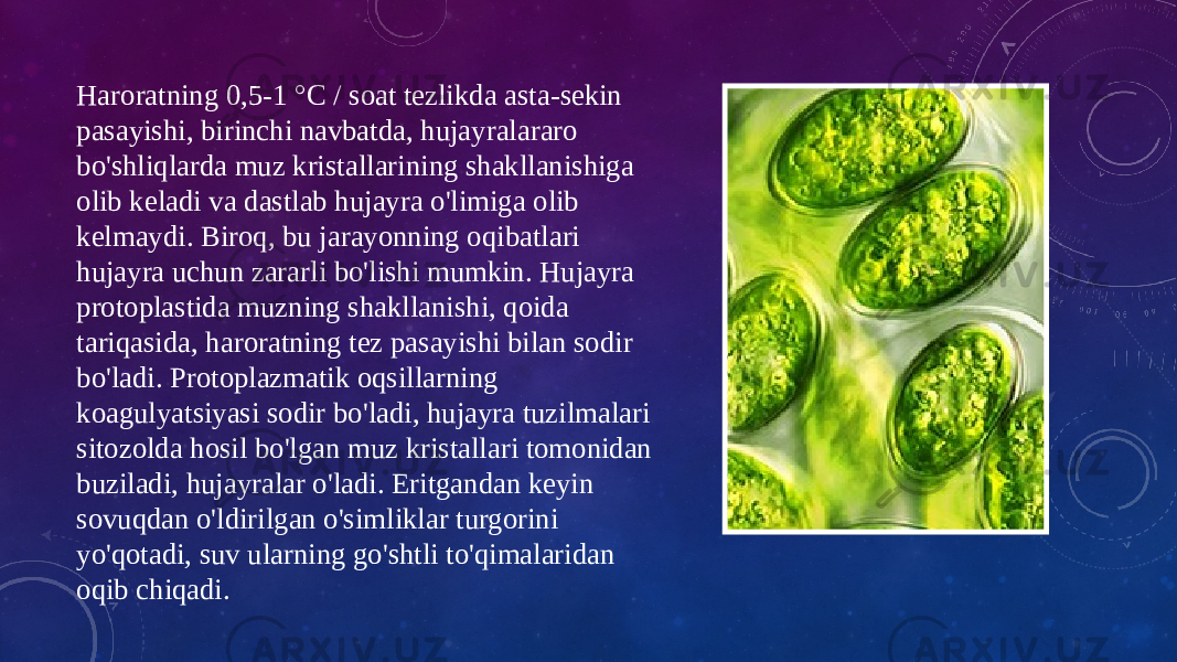 Haroratning 0,5-1 °C / soat tezlikda asta-sekin pasayishi, birinchi navbatda, hujayralararo bo&#39;shliqlarda muz kristallarining shakllanishiga olib keladi va dastlab hujayra o&#39;limiga olib kelmaydi. Biroq, bu jarayonning oqibatlari hujayra uchun zararli bo&#39;lishi mumkin. Hujayra protoplastida muzning shakllanishi, qoida tariqasida, haroratning tez pasayishi bilan sodir bo&#39;ladi. Protoplazmatik oqsillarning koagulyatsiyasi sodir bo&#39;ladi, hujayra tuzilmalari sitozolda hosil bo&#39;lgan muz kristallari tomonidan buziladi, hujayralar o&#39;ladi. Eritgandan keyin sovuqdan o&#39;ldirilgan o&#39;simliklar turgorini yo&#39;qotadi, suv ularning go&#39;shtli to&#39;qimalaridan oqib chiqadi. 