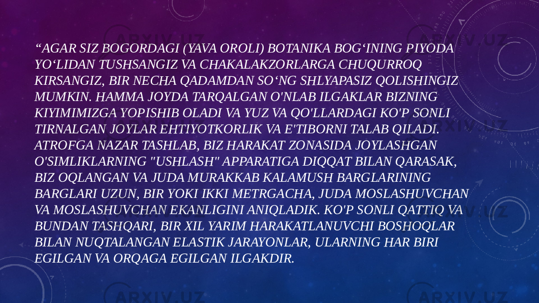 “ AGAR SIZ BOGORDAGI (YAVA OROLI) BOTANIKA BOG‘INING PIYODA YO‘LIDAN TUSHSANGIZ VA CHAKALAKZORLARGA CHUQURROQ KIRSANGIZ, BIR NECHA QADAMDAN SO‘NG SHLYAPASIZ QOLISHINGIZ MUMKIN. HAMMA JOYDA TARQALGAN O&#39;NLAB ILGAKLAR BIZNING KIYIMIMIZGA YOPISHIB OLADI VA YUZ VA QO&#39;LLARDAGI KO&#39;P SONLI TIRNALGAN JOYLAR EHTIYOTKORLIK VA E&#39;TIBORNI TALAB QILADI. ATROFGA NAZAR TASHLAB, BIZ HARAKAT ZONASIDA JOYLASHGAN O&#39;SIMLIKLARNING &#34;USHLASH&#34; APPARATIGA DIQQAT BILAN QARASAK, BIZ OQLANGAN VA JUDA MURAKKAB KALAMUSH BARGLARINING BARGLARI UZUN, BIR YOKI IKKI METRGACHA, JUDA MOSLASHUVCHAN VA MOSLASHUVCHAN EKANLIGINI ANIQLADIK. KO&#39;P SONLI QATTIQ VA BUNDAN TASHQARI, BIR XIL YARIM HARAKATLANUVCHI BOSHOQLAR BILAN NUQTALANGAN ELASTIK JARAYONLAR, ULARNING HAR BIRI EGILGAN VA ORQAGA EGILGAN ILGAKDIR. 