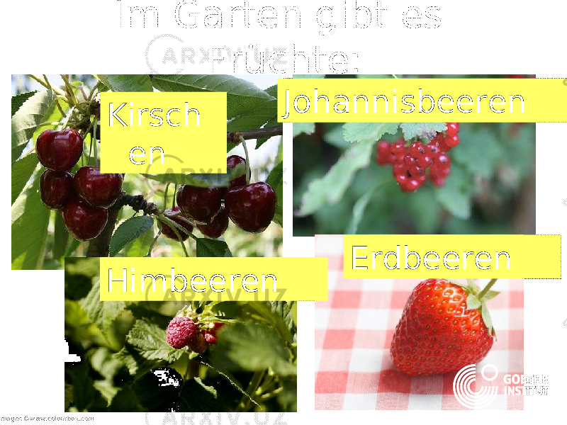 Im Garten gibt es Früchte: Kirsch en Johannisbeeren Himbeeren Erdbeeren all images ©www.colourbox.com 