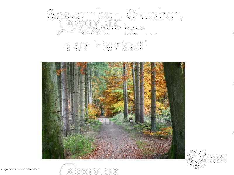 September, Oktober, November… der Herbst! all images ©www.colourbox.com 