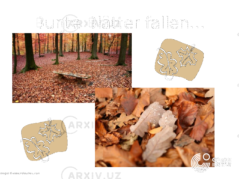 Bunte Blätter fallen… all images ©www.colourbox.com 