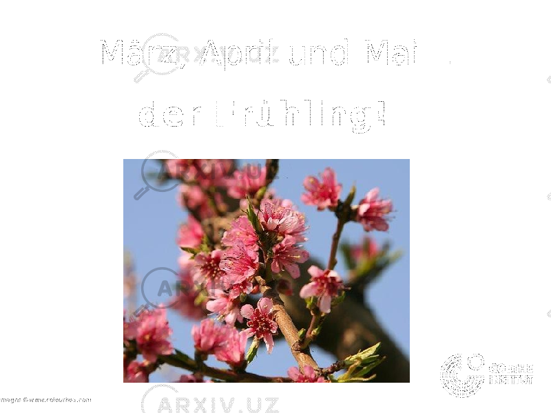 März, April und Mai… der Frühling! all images ©www.colourbox.com 