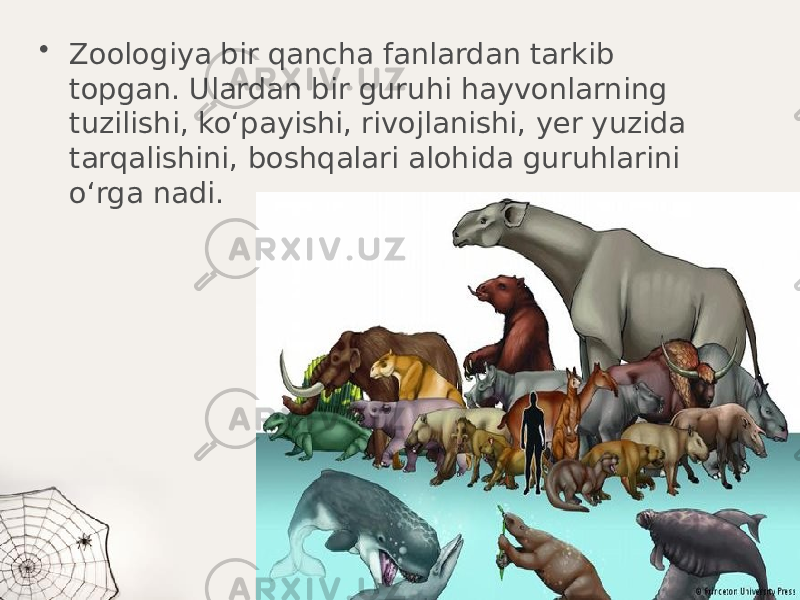 • Zoologiya bir qancha fanlardan tarkib topgan. Ulardan bir guruhi hayvonlarning tuzilishi, ko‘payishi, rivojlanishi, yer yuzida tarqalishini, boshqalari alohida guruhlarini o‘rga nadi. 