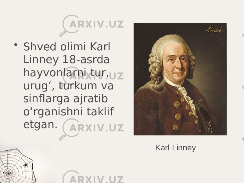 • Shved olimi Karl Linney 18-asrda hayvonlarni tur, urug‘, turkum va sinflarga ajratib o‘rganishni taklif etgan. Karl Linney 