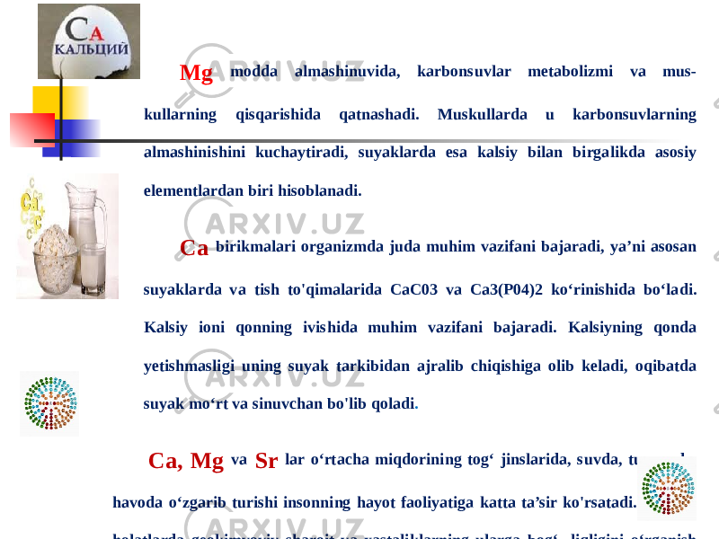 Mg modda almashinuvida, karbonsuvlar metabolizmi va mus- kullarning qisqarishida qatnashadi. Muskullarda u karbonsuvlarning almashinishini kuchaytiradi, suyaklarda esa kalsiy bilan birgalikda asosiy elementlardan biri hisoblanadi. Ca birikmalari organizmda juda muhim vazifani bajaradi, ya’ni asosan suyaklarda va tish to&#39;qimalarida CaC03 va Ca3(P04)2 ko‘rinishida bo‘ladi. Kalsiy ioni qonning ivishida muhim vazifani bajaradi. Kalsiyning qonda yetishmasligi uning suyak tarkibidan ajralib chiqishiga olib keladi, oqibatda suyak mo‘rt va sinuvchan bo&#39;lib qoladi . Ca, Mg va Sr lar o‘rtacha miqdorining tog‘ jinslarida, suvda, tuproqda, havoda o‘zgarib turishi insonning hayot faoliyatiga katta ta’sir ko&#39;rsatadi. Bunday holatlarda geokimyoviy sharoit va xastaliklarning ularga bog‘- liqligini o‘rganish zarur. Bunday xastaliklardan biri hisoblangan Urov xastaligi stronsiy-kalsiy muvozanatining buzilishi natijasida suyaklarning qiyshayishiga, sinishiga va bo‘g‘im og‘rig‘iga sabab bo&#39;ladi. 