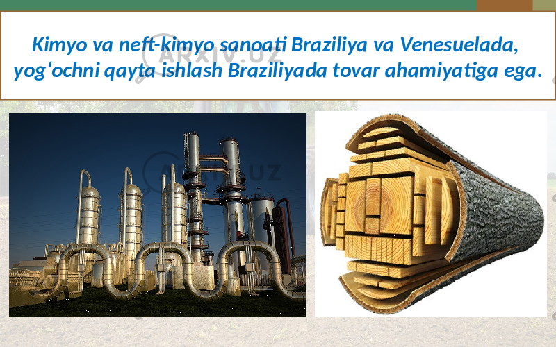 Kimyo va neft-kimyo sanoati Braziliya va Venesuelada, yog‘ochni qayta ishlash Braziliyada tovar ahamiyatiga ega. 