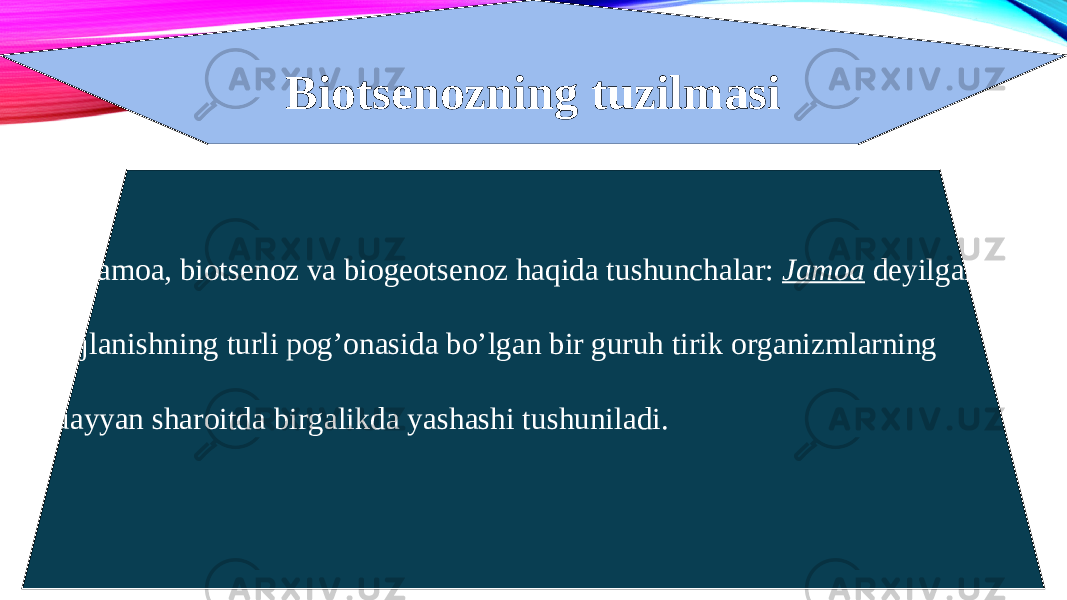 Biotsenozning tuzilmasi Jamoa, biotsenoz va biogeotsenoz haqida tushunchalar: Jamoa   deyilganda rivojlanishning turli pog’onasida bo’lgan bir guruh tirik organizmlarning muayyan sharoitda birgalikda yashashi tushuniladi. 