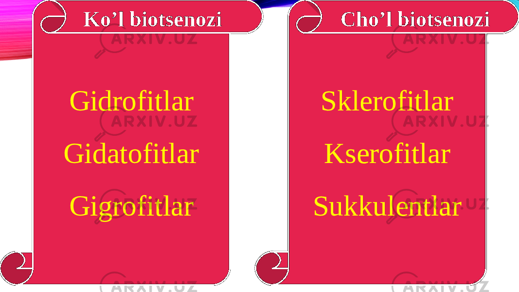 Gidrofitl а r Gidatofitlar Gigrofitlar Sklerofitlar Kserofitlar SukkulentlarKo’l biotsenozi Cho’l biotsenozi 