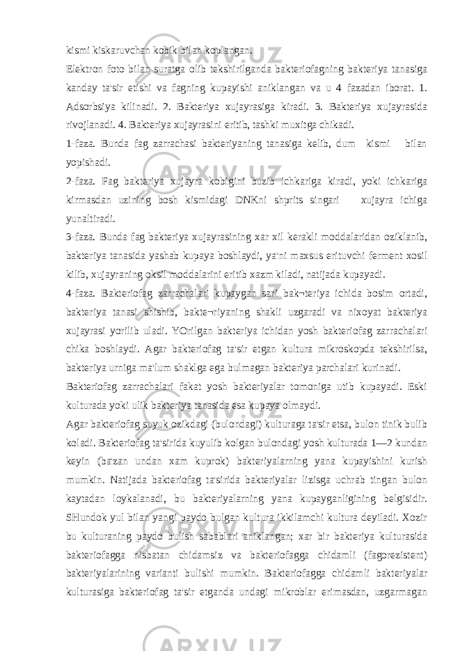 kismi kiskaruvchan kobik bilan koplangan. Elektron foto bilan suratga olib tekshirilganda bakteriofagning bakteriya tanasiga kanday ta&#39;sir etishi va fagning kupayishi aniklangan va u 4 fazadan iborat. 1. Adsorbsiya kilinadi. 2. Bakteriya xujayrasiga kiradi. 3. Bakteriya xujayrasida rivojlanadi. 4. Bakteriya xujayrasini eritib, tashki muxitga chikadi. 1-faza. Bunda fag zarrachasi bakteriyaning tanasiga kelib, dum kismi bilan yopishadi. 2-faza. Fag bakteriya xujayra kobigini buzib ichkariga kiradi, yoki ichkariga kirmasdan uzining bosh kismidagi DNKni shprits singari xujayra ichiga yunaltiradi. 3-faza. Bunda fag bakteriya xujayrasining xar xil kerakli moddalaridan oziklanib, bakteriya tanasida yashab kupaya boshlaydi, ya&#39;ni maxsus erituvchi ferment xosil kilib, xujayraning oksil moddalarini eritib xazm kiladi, natijada kupayadi. 4-faza. Bakteriofag zarrachalari kupaygan sari bak¬teriya ichida bosim ortadi, bakteriya tanasi shishib, bakte¬riyaning shakli uzgaradi va nixoyat bakteriya xujayrasi yorilib uladi. YOrilgan bakteriya ichidan yosh bakteriofag zarrachalari chika boshlaydi. Agar bakteriofag ta&#39;sir etgan kultura mikroskopda tekshirilsa, bakteriya urniga ma&#39;lum shaklga ega bulmagan bakteriya parchalari kurinadi. Bakteriofag zarrachalari fakat yosh bakteriyalar tomoniga utib kupayadi. Eski kulturada yoki ulik bakteriya tanasida esa kupaya olmaydi. Agar bakteriofag suyuk ozikdagi (bulondagi) kulturaga ta&#39;sir etsa, bulon tinik bulib koladi. Bakteriofag ta&#39;sirida kuyulib kolgan bulondagi yosh kulturada 1—2 kundan keyin (ba&#39;zan undan xam kuprok) bakteriyalarning yana kupayishini kurish mumkin. Natijada bakteriofag ta&#39;sirida bakteriyalar lizisga uchrab tingan bulon kaytadan loykalanadi, bu bakteriyalarning yana kupayganligining belgisidir. SHundok yul bilan yangi paydo bulgan kultura ikkilamchi kultura deyiladi. Xozir bu kulturaning paydo bulish sabablari aniklangan; xar bir bakteriya kulturasida bakteriofagga nisbatan chidamsiz va bakteriofagga chidamli (fagorezistent) bakteriyalarining varianti bulishi mumkin. Bakteriofagga chidamli bakteriyalar kulturasiga bakteriofag ta&#39;sir etganda undagi mikroblar erimasdan, uzgarmagan 