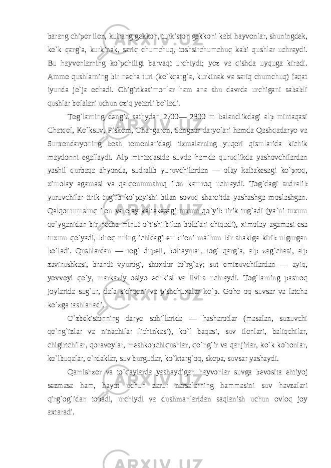 barang chipor ilon, kulrang gekkon, turkiston gekkoni kabi hayvonlar, shuningdek, ko`k qarg`a, kurkinak, sariq chumchuq, toshsirchumchuq kabi qushlar uchraydi. Bu hayvonlarning ko`pchiligi barvaqt urchiydi; yoz va qishda uyquga kiradi. Ammo qushlarning bir necha turi (ko`kqarg`a, kurkinak va sariq chumchuq) faqat iyunda jo`ja ochadi. Chigirtkasimonlar ham ana shu davrda urchigani sababli qushlar bolalari uchun oziq yetarli bo`ladi. Tog`larning dengiz sathydan 2700— 2800 m balandlikdagi alp mintaqasi Chatqol, Ko`ksuv, Piskom, Ohangaron, Sangzor daryolari hamda Qashqadaryo va Surxondaryoning bosh tomonlaridagi tizmalarning yuqori qismlarida kichik maydonni egallaydi. Alp mintaqasida suvda hamda quruqlikda yashovchilardan yashil qurbaqa ahyonda, sudralib yuruvchilardan — olay kaltakesagi ko`proq, ximolay agamasi va qalqontumshuq ilon kamroq uchraydi. Tog`dagi sud ralib yuruvchilar tirik tug`ib ko`payishi bilan sovuq sharoitda yashashga moslashgan. Qalqontumshuq ilon va olay kaltakesagi tuxum qo`yib tirik tug`adi (ya`ni tuxum qo`yganidan bir necha mi nut o`tishi bilan bolalari chiqadi), ximo lay agamasi esa tuxum qo`yadi, biroq uning ichidagi embrioni ma`lum bir shaklga kirib ulgurgan bo`ladi. Qushlardan — tog` dupeli, boltayutar, tog` qarg`a, alp zag`chasi, alp zavirushkasi, brandt vyurogi, shoxdor to`rg`ay; sut emizuv chilardan — ayiq, yovvoyi qo`y, marka ziy osiyo echkisi va ilvirs uchraydi. Tog`larning pastroq joylarida sug`ur, dala sichqoni va pishchuxalar ko`p. Goho oq suvsar va latcha ko`zga tashlanadi. O`zbekistonning daryo sohillarida — hasharotlar (masalan, suzuvchi qo`ng`izlar va ninachilar lichinkasi), ko`l baqasi, suv ilonlari, baliqchilar, chigirtchilar, qoravoylar, meshkopchiqushlar, qo`ng`ir va qanjirlar, ko`k ko`tonlar, ko`lbuqalar, o`rdaklar, suv burgutlar, ko`ktarg`oq, skopa, suvsar yashaydi. Qamishzor va to`qaylarda yashaydigan hayvonlar suvga bevosita ehtiyoj sezmasa ham, hayot uchun zarur narsalarning hammasini suv havzalari qirg`og`idan topadi, urchiydi va dushmanlaridan saqlanish uchun ovloq joy axtaradi. 