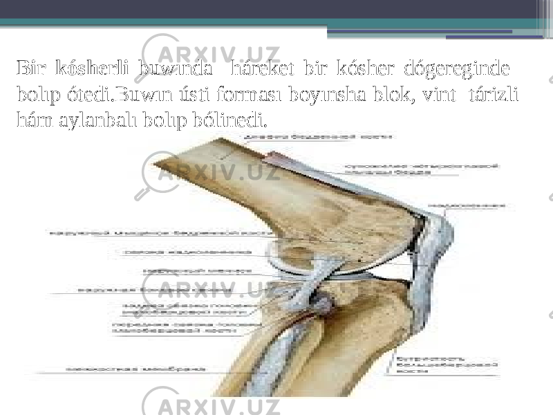 Bir kósherli buwında háreket bir kósher dógereginde bolıp ótedi.Buwın ústi forması boyınsha blok, vint tárizli hám aylanbalı bolıp bólinedi. 