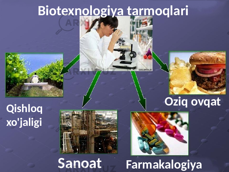 Biotexnologiya tarmoqlari Qishloq xo&#39;jaligi Sanoat Farmakalogiya Oziq ovqat 