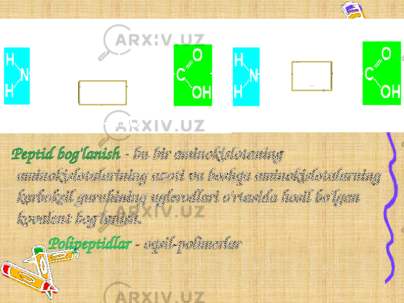  Peptid bog&#39;lanish - bu bir aminokislotaning aminokislotalarining azoti va boshqa aminokislotalarning karboksil guruhining uglerodlari o&#39;rtasida hosil bo&#39;lgan kovalent bog&#39;lanish. Polipeptidlar - oqsil-polimerlar 