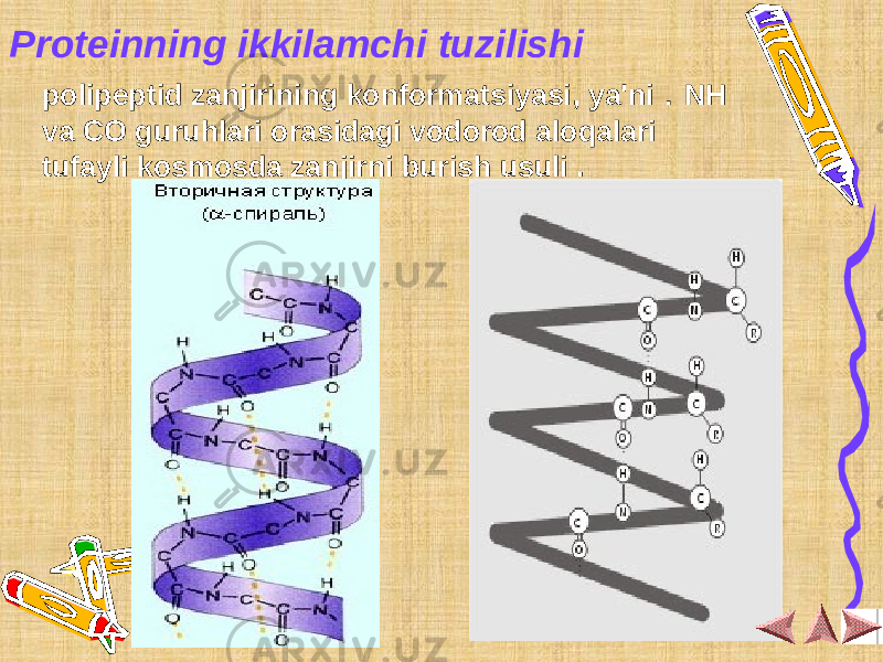 Proteinning ikkilamchi tuzilishi polipeptid zanjirining konformatsiyasi, ya&#39;ni . NH va CO guruhlari orasidagi vodorod aloqalari tufayli kosmosda zanjirni burish usuli . 