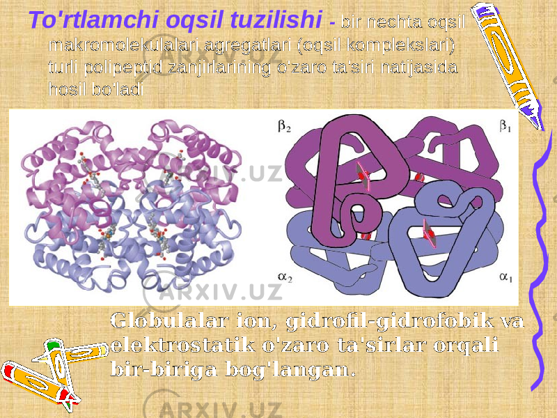 To&#39;rtlamchi oqsil tuzilishi - bir nechta oqsil makromolekulalari agregatlari (oqsil komplekslari) turli polipeptid zanjirlarining o&#39;zaro ta&#39;siri natijasida hosil bo&#39;ladi Globulalar ion, gidrofil-gidrofobik va elektrostatik o&#39;zaro ta&#39;sirlar orqali bir-biriga bog&#39;langan. 