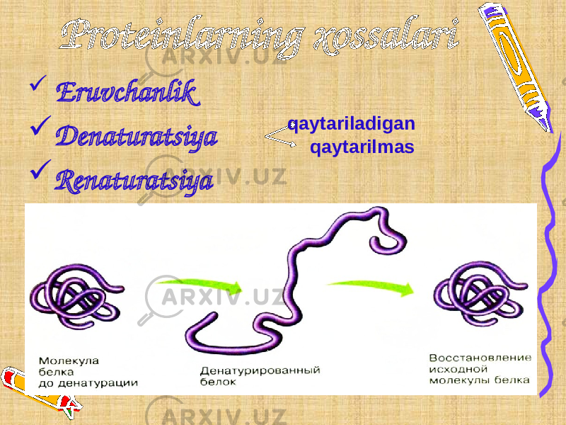 Proteinlarning xossalari  Eruvchanlik  Denaturatsiya  Renaturatsiya qaytariladigan qaytarilmas 