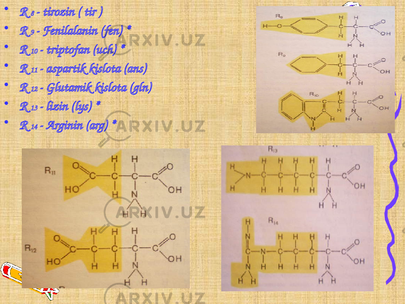 • R 8 - tirozin ( tir ) • R 9 - Fenilalanin (fen) * • R 10 - triptofan (uch) * • R 11 - aspartik kislota (ans) • R 12 - Glutamik kislota (gln) • R 13 - lizin (lys) * • R 14 - Arginin (arg) * 