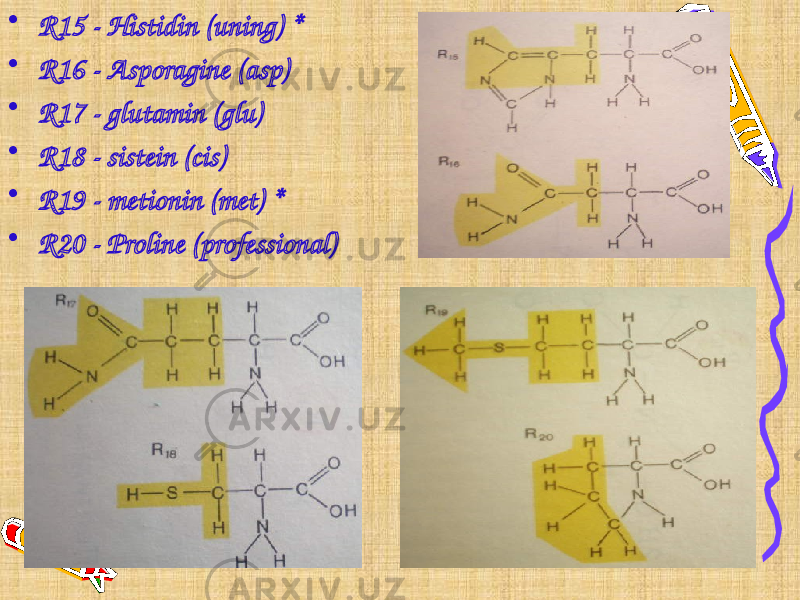 • R15 - Histidin (uning) * • R16 - Asporagine (asp) • R17 - glutamin (glu) • R18 - sistein (cis) • R19 - metionin (met) * • R20 - Proline (professional) 