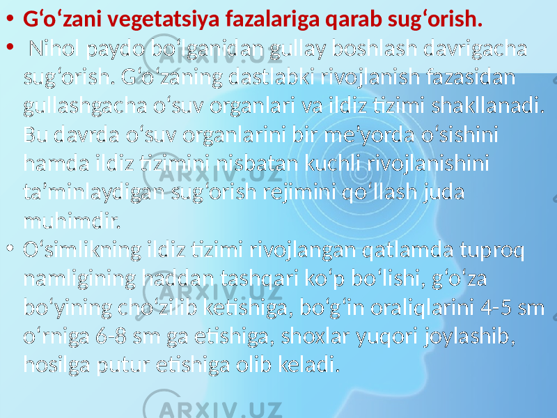 • G‘o‘zani vegetatsiya fazalariga qarab sug‘orish. • Nihol paydo bo‘lganidan gullay boshlash davrigacha sug‘orish. G‘o‘zaning dastlabki rivojlanish fazasidan gullashgacha o‘suv organlari va ildiz tizimi shakllanadi. Bu davrda o‘suv organlarini bir me’yorda o‘sishini hamda ildiz tizimini nisbatan kuchli rivojlanishini ta’minlaydigan sug‘orish rejimini qo‘llash juda muhimdir. • O‘simlikning ildiz tizimi rivojlangan qatlamda tuproq namligining haddan tashqari ko‘p bo‘lishi, g‘o‘za bo‘yining cho‘zilib ketishiga, bo‘g‘in oraliqlarini 4-5 sm o‘rniga 6-8 sm ga etishiga, shoxlar yuqori joylashib, hosilga putur etishiga olib keladi. 