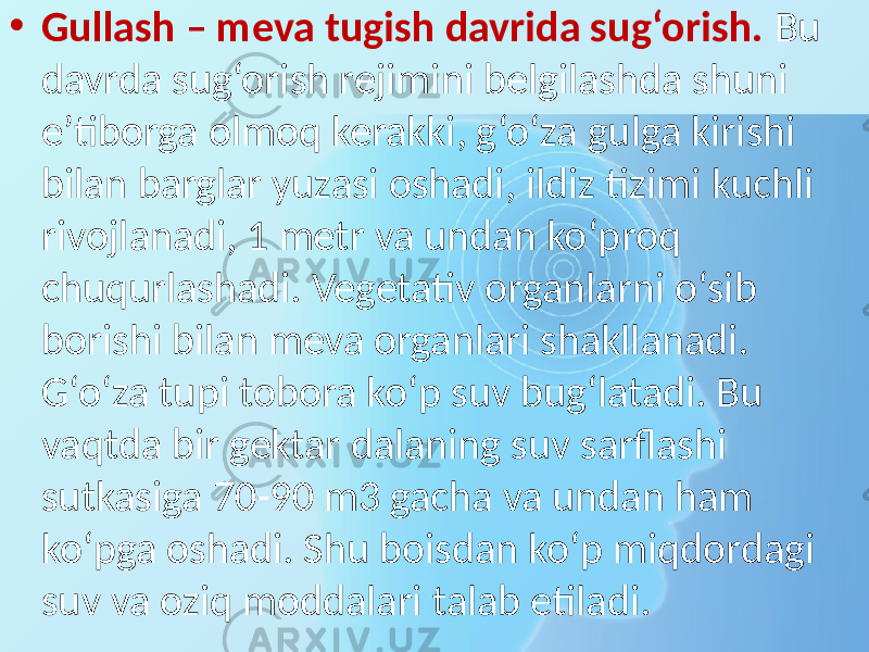 • Gullash – meva tugish davrida sug‘orish. Bu davrda sug‘orish rejimini belgilashda shuni e’tiborga olmoq kerakki, g‘o‘za gulga kirishi bilan barglar yuzasi oshadi, ildiz tizimi kuchli rivojlanadi, 1 metr va undan ko‘proq chuqurlashadi. Vegetativ organlarni o‘sib borishi bilan meva organlari shakllanadi. G‘o‘za tupi tobora ko‘p suv bug‘latadi. Bu vaqtda bir gektar dalaning suv sarflashi sutkasiga 70-90 m3 gacha va undan ham ko‘pga oshadi. Shu boisdan ko‘p miqdordagi suv va oziq moddalari talab etiladi. 