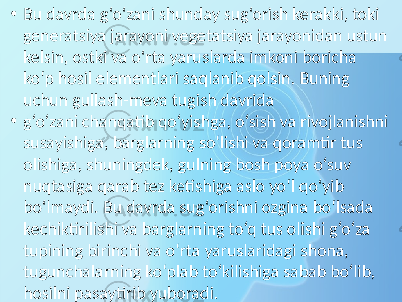 • Bu davrda g‘o‘zani shunday sug‘orish kerakki, toki generatsiya jarayoni vegetatsiya jarayonidan ustun kelsin, ostki va o‘rta yaruslarda imkoni boricha ko‘p hosil elementlari saqlanib qolsin. Buning uchun gullash-meva tugish davrida • g‘o‘zani chanqatib qo‘yishga, o‘sish va rivojlanishni susayishiga, barglarning so‘lishi va qoramtir tus olishiga, shuningdek, gulning bosh poya o‘suv nuqtasiga qarab tez ketishiga aslo yo‘l qo‘yib bo‘lmaydi. Bu davrda sug‘orishni ozgina bo‘lsada kechiktirilishi va barglarning to‘q tus olishi g‘o‘za tupining birinchi va o‘rta yaruslaridagi shona, tugunchalarning ko‘plab to‘kilishiga sabab bo‘lib, hosilni pasaytirib yuboradi. 