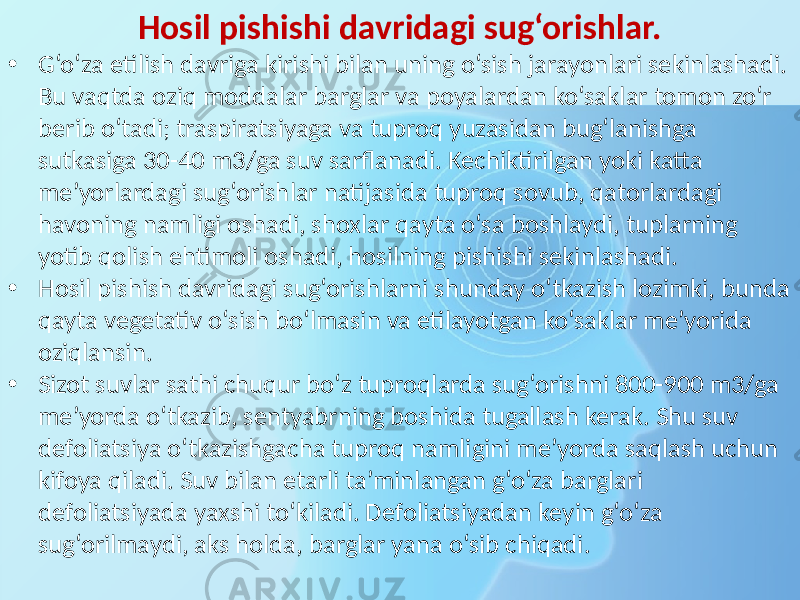 Hosil pishishi davridagi sug‘orishlar. • G‘o‘za etilish davriga kirishi bilan uning o‘sish jarayonlari sekinlashadi. Bu vaqtda oziq moddalar barglar va poyalardan ko‘saklar tomon zo‘r berib o‘tadi; traspiratsiyaga va tuproq yuzasidan bug‘lanishga sutkasiga 30-40 m3/ga suv sarflanadi. Kechiktirilgan yoki katta me’yorlardagi sug‘orishlar natijasida tuproq sovub, qatorlardagi havoning namligi oshadi, shoxlar qayta o‘sa boshlaydi, tuplarning yotib qolish ehtimoli oshadi, hosilning pishishi sekinlashadi. • Hosil pishish davridagi sug‘orishlarni shunday o‘tkazish lozimki, bunda qayta vegetativ o‘sish bo‘lmasin va etilayotgan ko‘saklar me’yorida oziqlansin. • Sizot suvlar sathi chuqur bo‘z tuproqlarda sug‘orishni 800-900 m3/ga me’yorda o‘tkazib, sentyabrning boshida tugallash kerak. Shu suv defoliatsiya o‘tkazishgacha tuproq namligini me’yorda saqlash uchun kifoya qiladi. Suv bilan etarli ta’minlangan g‘o‘za barglari defoliatsiyada yaxshi to‘kiladi. Defoliatsiyadan keyin g‘o‘za sug‘orilmaydi, aks holda, barglar yana o‘sib chiqadi. 