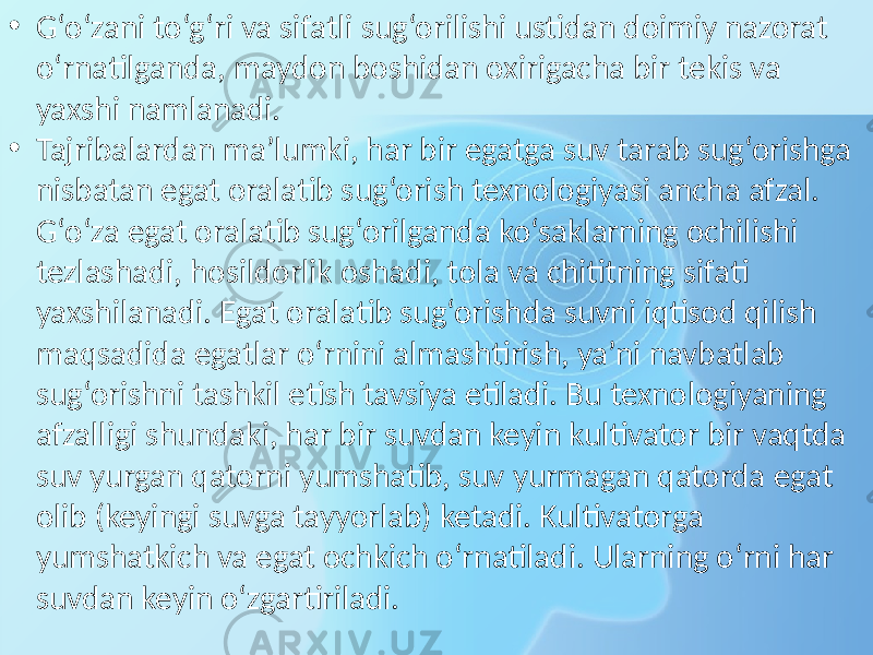 • G‘o‘zani to‘g‘ri va sifatli sug‘orilishi ustidan doimiy nazorat o‘rnatilganda, maydon boshidan oxirigacha bir tekis va yaxshi namlanadi. • Tajribalardan ma’lumki, har bir egatga suv tarab sug‘orishga nisbatan egat oralatib sug‘orish texnologiyasi ancha afzal. G‘o‘za egat oralatib sug‘orilganda ko‘saklarning ochilishi tezlashadi, hosildorlik oshadi, tola va chititning sifati yaxshilanadi. Egat oralatib sug‘orishda suvni iqtisod qilish maqsadida egatlar o‘rnini almashtirish, ya’ni navbatlab sug‘orishni tashkil etish tavsiya etiladi. Bu texnologiyaning afzalligi shundaki, har bir suvdan keyin kultivator bir vaqtda suv yurgan qatorni yumshatib, suv yurmagan qatorda egat olib (keyingi suvga tayyorlab) ketadi. Kultivatorga yumshatkich va egat ochkich o‘rnatiladi. Ularning o‘rni har suvdan keyin o‘zgartiriladi. 