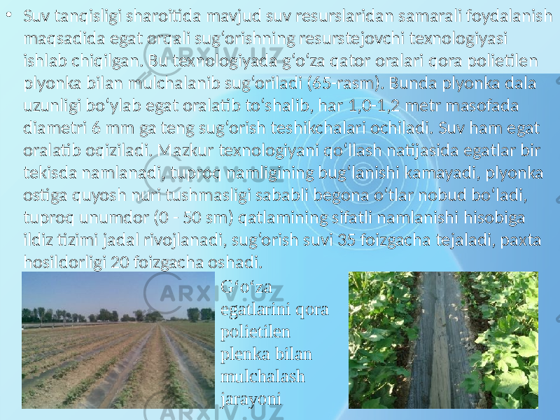 • Suv tanqisligi sharoitida mavjud suv resurslaridan samarali foydalanish maqsadida egat orqali sug‘orishning resurstejovchi texnologiyasi ishlab chiqilgan. Bu texnologiyada g‘o‘za qator oralari qora polietilen plyonka bilan mulchalanib sug‘oriladi (65-rasm). Bunda plyonka dala uzunligi bo‘ylab egat oralatib to‘shalib, har 1,0-1,2 metr masofada diametri 6 mm ga teng sug‘orish teshikchalari ochiladi. Suv ham egat oralatib oqiziladi. Mazkur texnologiyani qo‘llash natijasida egatlar bir tekisda namlanadi, tuproq namligining bug‘lanishi kamayadi, plyonka ostiga quyosh nuri tushmasligi sababli begona o‘tlar nobud bo‘ladi, tuproq unumdor (0 - 50 sm) qatlamining sifatli namlanishi hisobiga ildiz tizimi jadal rivojlanadi, sug‘orish suvi 35 foizgacha tejaladi, paxta hosildorligi 20 foizgacha oshadi. G‘o‘za egatlarini qora polietilen plenka bilan mulchalash jarayoni 