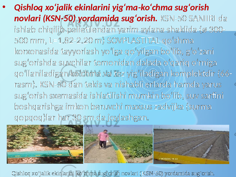 • Qishloq xo‘jalik ekinlarini yig‘ma-ko‘chma sug‘orish novlari (KSN-50) yordamida sug‘orish. KSN-50 SANIIRI da ishlab chiqilib polietilendan yarim aylana shaklida (ø 300- 500 mm, L=1.82-2.20 m) SOVPLASTITAL qo‘shma korxonasida tayyorlash yo‘lga qo‘yilgan bo‘lib, g‘o‘zani sug‘orishda suvchilar tomonidan dalada o‘qariq o‘rniga qo‘llaniladigan ko‘chma va tez yig‘iladigan komplektdir (66- rasm). KSN-50 dan tekis va nishabli erlarda hamda yarus sug‘orish sxemasida ishlatilishi mumkin bo‘lib, suv sarfini boshqarishga imkon beruvchi maxsus zadvijka (surma qopqoq)lar har 30 sm da joylashgan. Qishloq xo‘jalik ekinlarini ko‘chma sug‘orish novlari (KSN-50) yordamida sug‘orish. 