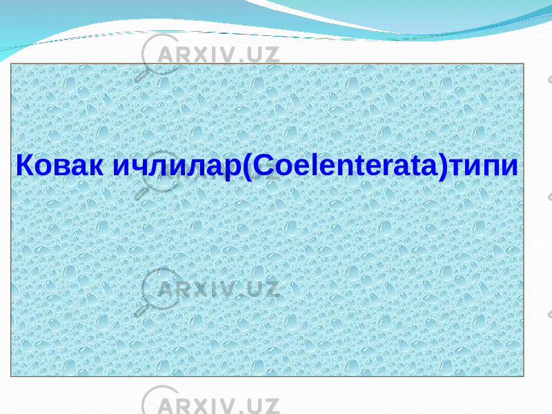 Ковак ичлилар (Coelenterata) типи 