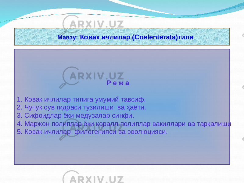  Мавзу: Ковак ичлилар (Сое lenterata )типи Р е ж а 1. Ковак ичлилар типига умумий тавсиф. 2. Чучук сув гидраси тузилиши ва ҳаёти. 3. Сифоидлар ёки медузалар синфи. 4. Маржон полиплар ёки коралл полиплар вакиллари ва тарқалиши 5 . Ковак ичлилар филогенияси ва эволюцияси. 
