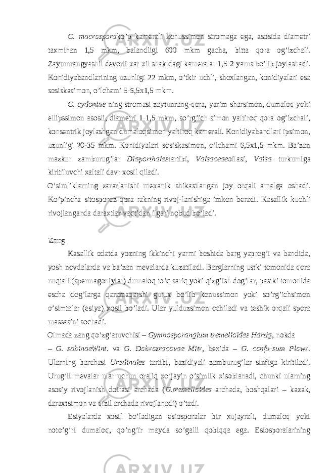 C. macrospora ko’p kamerali konussimon stromaga ega, asosida diametri taxminan 1,5 mkm, balandligi 600 mkm gacha, bitta qora og’izchali. Zaytunrangyashil devorli xar xil shakldagi kameralar 1,5-2 yarus bo’lib joylashadi. Konidiyabandlarining uzunligi 22 mkm, o’tkir uchli, shoxlangan, konidiyalari esa sosiskasimon, o’lchami 5-6,5x1,5 mkm. C. cydoniae ning stromasi zaytunrang-qora, yarim sharsimon, dumaloq yoki ellipssimon asosli, diametri 1-1,5 mkm, so’rg’ich-simon yaltiroq qora og’izchali, konsentrik joylashgan dumaloqsimon yaltiroq kamerali. Konidiyabandlari ipsimon, uzunligi 20-35 mkm. Konidiyalari sosiskasimon, o’lchami 6,5x1,5 mkm. Ba’zan mazkur zamburug’lar Diaporthales tartibi, Valsaceae oilasi, Valsa turkumiga kiritiluvchi xaltali davr xosil qiladi. O’simliklarning zararlanishi mexanik shikastlangan joy orqali amalga oshadi. Ko’pincha sitosporoz qora rakning rivoj-lanishiga imkon beradi. Kasallik kuchli rivojlanganda daraxtlar vaqtidan ilgari nobud bo’ladi. Zang Kasallik odatda yozning ikkinchi yarmi boshida barg yaprog’i va bandida, yosh novdalarda va ba’zan mevalarda kuzatiladi. Barglarning ustki tomonida qora nuqtali (spermagoniylar) dumaloq to’q sariq yoki qizg’ish dog’lar, pastki tomonida escha dog’larga qaramaqarshi gurux bo’lib konussimon yoki so’rg’ichsimon o’simtalar (esiya) xosil bo’ladi. Ular yulduzsimon ochiladi va teshik orqali spora massasini sochadi. Olmada zang qo’zg’atuvchisi – Gymnosporangium tremelloides Hartig, nokda – G. sabinaeWint. va G. Dobrozracovae Mitr, bexida – G. confu-sum Plowr . Ularning barchasi Uredinales tartibi, bazidiyali zamburug’lar sinfiga kiritiladi. Urug’li mevalar ular uchun oraliq xo’jayin o’simlik xisoblanadi, chunki ularning asosiy rivojlanish doirasi archada ( G.tremelloides archada, boshqalari – kazak, daraxtsimon va qizil archada rivojlanadi) o’tadi. Esiyalarda xosil bo’ladigan esiosporalar bir xujayrali, dumaloq yoki noto’g’ri dumaloq, qo’ng’ir mayda so’galli qobiqqa ega. Esiosporalarining 