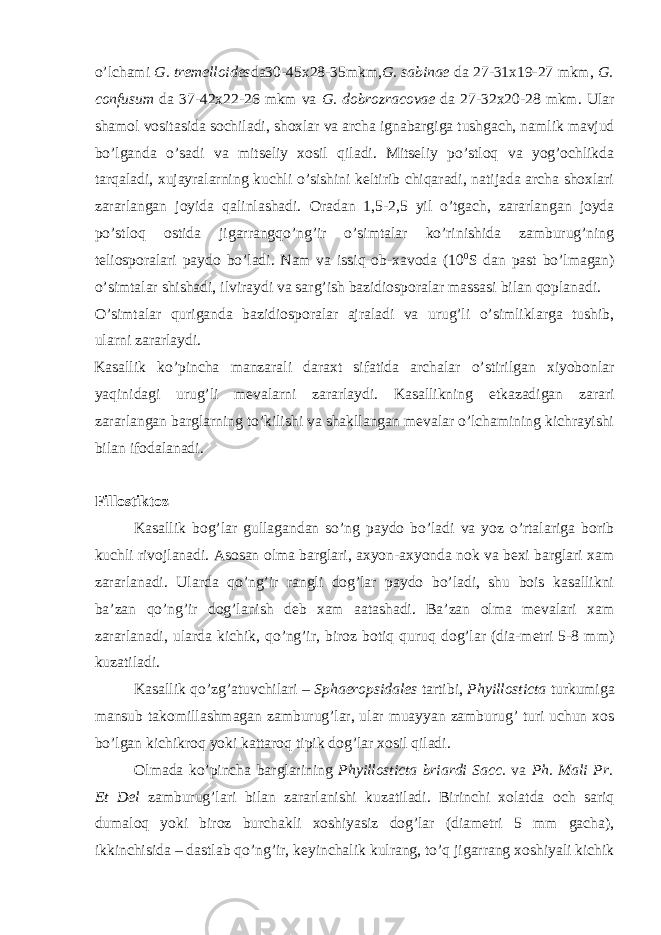 o’lchami G. tremelloides da30-45x28-35mkm, G. sabinae da 27-31x19-27 mkm, G. confusum da 37-42x22-26 mkm va G. dobrozracovae da 27-32x20-28 mkm. Ular shamol vositasida sochiladi, shoxlar va archa ignabargiga tushgach, namlik mavjud bo’lganda o’sadi va mitseliy xosil qiladi. Mitseliy po’stloq va yog’ochlikda tarqaladi, xujayralarning kuchli o’sishini keltirib chiqaradi, natijada archa shoxlari zararlangan joyida qalinlashadi. Oradan 1,5-2,5 yil o’tgach, zararlangan joyda po’stloq ostida jigarrangqo’ng’ir o’simtalar ko’rinishida zamburug’ning teliosporalari paydo bo’ladi. Nam va issiq ob-xavoda (10 0 S dan past bo’lmagan) o’simtalar shishadi, ilviraydi va sarg’ish bazidiosporalar massasi bilan qoplanadi. O’simtalar quriganda bazidiosporalar ajraladi va urug’li o’simliklarga tushib, ularni zararlaydi. Kasallik ko’pincha manzarali daraxt sifatida archalar o’stirilgan xiyobonlar yaqinidagi urug’li mevalarni zararlaydi. Kasallikning etkazadigan zarari zararlangan barglarning to’kilishi va shakllangan mevalar o’lchamining kichrayishi bilan ifodalanadi. Fillostiktoz Kasallik bog’lar gullagandan so’ng paydo bo’ladi va yoz o’rtalariga borib kuchli rivojlanadi. Asosan olma barglari, axyon-axyonda nok va bexi barglari xam zararlanadi. Ularda qo’ng’ir rangli dog’lar paydo bo’ladi, shu bois kasallikni ba’zan qo’ng’ir dog’lanish deb xam aatashadi. Ba’zan olma mevalari xam zararlanadi, ularda kichik, qo’ng’ir, biroz botiq quruq dog’lar (dia-metri 5-8 mm) kuzatiladi. Kasallik qo’zg’atuvchilari – Sphaeropsidales tartibi, Phyillosticta turkumiga mansub takomillashmagan zamburug’lar, ular muayyan zamburug’ turi uchun xos bo’lgan kichikroq yoki kattaroq tipik dog’lar xosil qiladi. Olmada ko’pincha barglarining Phyillosticta briardi Sacc. va Ph. Mali Pr. Et Del zamburug’lari bilan zararlanishi kuzatiladi. Birinchi xolatda och sariq dumaloq yoki biroz burchakli xoshiyasiz dog’lar (diametri 5 mm gacha), ikkinchisida – dastlab qo’ng’ir, keyinchalik kulrang, to’q jigarrang xoshiyali kichik 