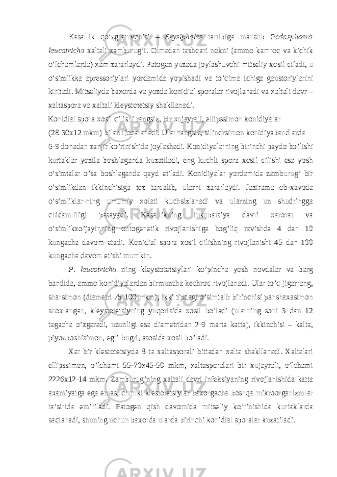 Kasallik qo’zg’atuvchisi – Erysiphales tartibiga mansub Podosphaera leucotricha xaltali zamburug’i. Olmadan tashqari nokni (ammo kamroq va kichik o’lchamlarda) xam zararlaydi. Patogen yuzada joylashuvchi mitseliy xosil qiladi, u o’simlikka apressoriylari yordamida yopishadi va to’qima ichiga gaustoriylarini kiritadi. Mitseliyda baxorda va yozda konidial sporalar rivojlanadi va xaltali davr – xaltaspora va xaltali kleystotetsiy shakllanadi. Konidial spora xosil qilishi rangsiz, bir xujayrali, ellipssimon konidiyalar (28-30x12 mkm) bilan ifodalanadi. Ular rangsiz, silindrsimon konidiyabandlarda 6-9 donadan zanjir ko’rinishida joylashadi. Konidiyalarning birinchi paydo bo’lishi kurtaklar yozila boshlaganda kuzatiladi, eng kuchli spora xosil qilishi esa yosh o’simtalar o’sa boshlaganda qayd etiladi. Konidiyalar yordamida zamburug’ bir o’simlikdan ikkinchisiga tez tarqalib, ularni zararlaydi. Jazirama ob-xavoda o’simliklar-ning umumiy xolati kuchsizlanadi va ularning un shudringga chidamliligi pasayadi. Kasallikning inkubatsiya davri xarorat va o’simlikxo’jayinning ontogenetik rivojlanishiga bog’liq ravishda 4 dan 10 kungacha davom etadi. Konidial spora xosil qilishning rivojlanishi 45 dan 100 kungacha davom etishi mumkin. P. leucotricha ning kleystotetsiylari ko’pincha yosh novdalar va barg bandida, ammo konidiyalardan birmuncha kechroq rivojlanadi. Ular to’q jigarrang, sharsimon (diametri 75-100 mkm), ikki tipdagi o’simtali: birinchisi panshaxasimon shoxlangan, kleystotetsiyning yuqorisida xosil bo’ladi (ularning soni 3 dan 12 tagacha o’zgaradi, uzunligi esa diametridan 2-9 marta katta), ikkinchisi – kalta, piyozboshisimon, egri-bugri, asosida xosil bo’ladi. Xar bir klestotetsiyda 8 ta xaltasporali bittadan xalta shakllanadi. Xaltalari ellipssimon, o’lchami 55-70x45-50 mkm, xaltasporalari bir xujayrali, o’lchami 2226x12-14 mkm. Zamburug’ning xaltali davri infeksiyaning rivojlanishida katta axamiyatga ega emas, chunki klestotetsiylar baxorgacha boshqa mikroorganizmlar ta’sirida emiriladi. Patogen qish davomida mitseliy ko’rinishida kurtaklarda saqlanadi, shuning uchun baxorda ularda birinchi konidial sporalar kuzatiladi. 