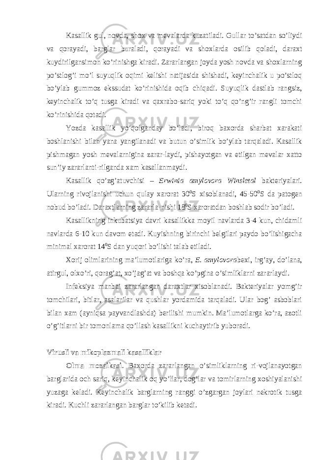 Kasallik gul, novda, shox va mevalarda kuzatiladi. Gullar to’satdan so’liydi va qorayadi, barglar buraladi, qorayadi va shoxlarda osilib qoladi, daraxt kuydirilgansimon ko’rinishga kiradi. Zararlangan joyda yosh novda va shoxlarning po’stlog’i mo’l suyuqlik oqimi kelishi natijasida shishadi, keyinchalik u po’stloq bo’ylab gummoz ekssudat ko’rinishida oqib chiqadi. Suyuqlik dastlab rangsiz, keyinchalik to’q tusga kiradi va qaxrabo-sariq yoki to’q qo’ng’ir rangli tomchi ko’rinishida qotadi. Yozda kasallik yo’qolganday bo’ladi, biroq baxorda sharbat xarakati boshlanishi bilan yana yangilanadi va butun o’simlik bo’ylab tarqaladi. Kasallik pishmagan yosh mevalarnigina zarar-laydi, pishayotgan va etilgan mevalar xatto sun’iy zararlanti-rilganda xam kasallanmaydi. Kasallik qo’zg’atuvchisi – Erwinia amylovora Winsletal bakteriyalari. Ularning rivojlanishi uchun qulay xarorat 30 0 S xisoblanadi, 45-50 0 S da patogen nobud bo’ladi. Daraxtlarning zararla-nishi 18 0 S xaroratdan boshlab sodir bo’ladi. Kasallikning inkubatsiya davri kasallikka moyil navlarda 3-4 kun, chidamli navlarda 6-10 kun davom etadi. Kuyishning birinchi belgilari paydo bo’lishigacha minimal xarorat 14 0 S dan yuqori bo’lishi talab etiladi. Xorij olimlarining ma’lumotlariga ko’ra, E. amylovora bexi, irg’ay, do’lana, atirgul, olxo’ri, qorag’at, xo’jag’at va boshqa ko’pgina o’simliklarni zararlaydi. Infeksiya manbai zararlangan daraxtlar xisoblanadi. Bakteriyalar yomg’ir tomchilari, bitlar, asalarilar va qushlar yordamida tarqaladi. Ular bog’ asboblari bilan xam (ayniqsa payvandlashda) berilishi mumkin. Ma’lumotlarga ko’ra, azotli o’g’itlarni bir tomonlama qo’llash kasallikni kuchaytirib yuboradi. Virusli va mikoplazmali kasalliklar Olma mozaikasi . Baxorda zararlangan o’simliklarning ri-vojlanayotgan barglarida och sariq, keyinchalik oq yo’llar, dog’lar va tomirlarning xoshiyalanishi yuzaga keladi. Keyinchalik barglarning ranggi o’zgargan joylari nekrotik tusga kiradi. Kuchli zararlangan barglar to’kilib ketadi. 