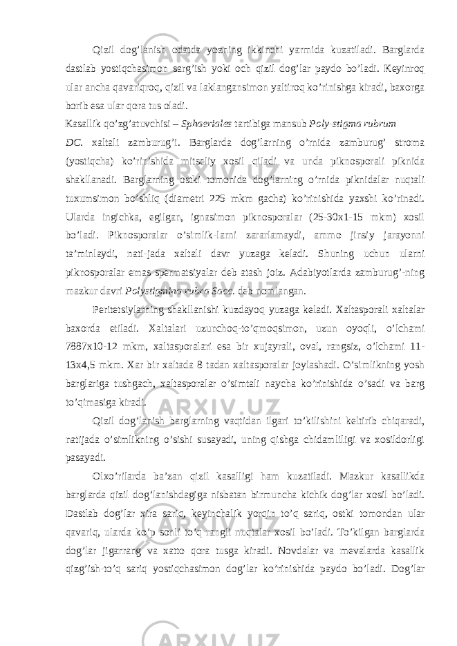 Qizil dog’lanish odatda yozning ikkinchi yarmida kuzatiladi. Barglarda dastlab yostiqchasimon sarg’ish yoki och qizil dog’lar paydo bo’ladi. Keyinroq ular ancha qavariqroq, qizil va laklangansimon yaltiroq ko’rinishga kiradi, baxorga borib esa ular qora tus oladi. Kasallik qo’zg’atuvchisi – Sphaeriales tartibiga mansub Poly-stigma rubrum DC. xaltali zamburug’i. Barglarda dog’larning o’rnida zamburug’ stroma (yostiqcha) ko’rinishida mitseliy xosil qiladi va unda piknosporali piknida shakllanadi. Barglarning ostki tomonida dog’larning o’rnida piknidalar nuqtali tuxumsimon bo’shliq (diametri 225 mkm gacha) ko’rinishida yaxshi ko’rinadi. Ularda ingichka, egilgan, ignasimon piknosporalar (25-30x1-15 mkm) xosil bo’ladi. Piknosporalar o’simlik-larni zararlamaydi, ammo jinsiy jarayonni ta’minlaydi, nati-jada xaltali davr yuzaga keladi. Shuning uchun ularni piknosporalar emas spermatsiyalar deb atash joiz. Adabiyotlarda zamburug’-ning mazkur davri Polystigmina rubra Sacc . deb nomlangan. Peritetsiylarning shakllanishi kuzdayoq yuzaga keladi. Xaltasporali xaltalar baxorda etiladi. Xaltalari uzunchoq-to’qmoqsimon, uzun oyoqli, o’lchami 7887x10-12 mkm, xaltasporalari esa bir xujayrali, oval, rangsiz, o’lchami 11- 13x4,5 mkm. Xar bir xaltada 8 tadan xaltasporalar joylashadi. O’simlikning yosh barglariga tushgach, xaltasporalar o’simtali naycha ko’rinishida o’sadi va barg to’qimasiga kiradi. Qizil dog’lanish barglarning vaqtidan ilgari to’kilishini keltirib chiqaradi, natijada o’simlikning o’sishi susayadi, uning qishga chidamliligi va xosildorligi pasayadi. Olxo’rilarda ba’zan qizil kasalligi ham kuzatiladi. Mazkur kasallikda barglarda qizil dog’lanishdagiga nisbatan birmuncha kichik dog’lar xosil bo’ladi. Dastlab dog’lar xira sariq, keyinchalik yorqin to’q sariq, ostki tomondan ular qavariq, ularda ko’p sonli to’q rangli nuqtalar xosil bo’ladi. To’kilgan barglarda dog’lar jigarrang va xatto qora tusga kiradi. Novdalar va mevalarda kasallik qizg’ish-to’q sariq yostiqchasimon dog’lar ko’rinishida paydo bo’ladi. Dog’lar 