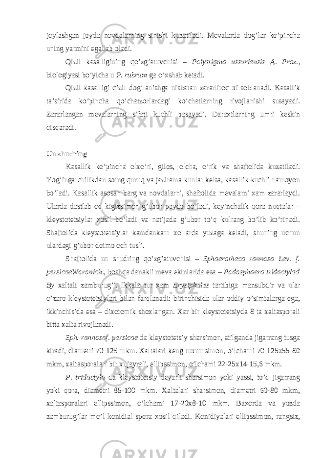 joylashgan joyda novdalarning sinishi kuzatiladi. Mevalarda dog’lar ko’pincha uning yarmini egallab oladi. Qizil kasalligining qo’zg’atuvchisi – Polystigma ussuriensis A. Proz. , biologiyasi bo’yicha u P. rubrum ga o’xshab ketadi. Qizil kasalligi qizil dog’lanishga nisbatan zararliroq xi-soblanadi. Kasallik ta’sirida ko’pincha qo’chatzorlardagi ko’chatlarning rivojlanishi susayadi. Zararlangan mevalarning sifati kuchli pasayadi. Daraxtlarning umri keskin qisqaradi. Un shudring Kasallik ko’pincha olxo’ri, gilos, olcha, o’rik va shaftolida kuzatiladi. Yog’ingarchilikdan so’ng quruq va jazirama kunlar kelsa, kasallik kuchli namoyon bo’ladi. Kasallik asosan barg va novdalarni, shaftolida mevalarni xam zararlaydi. Ularda dastlab oq kigizsimon g’ubor paydo bo’ladi, keyinchalik qora nuqtalar – kleystotetsiylar xosil bo’ladi va natijada g’ubor to’q kulrang bo’lib ko’rinadi. Shaftolida kleystotetsiylar kamdankam xollarda yuzaga keladi, shuning uchun ulardagi g’ubor doimo och tusli. Shaftolida un shudring qo’zg’atuvchisi – Sphaerotheca rannosa Lev. f. persicaeWoronich., boshqa danakli meva ekinlarida esa – Podosphaera tridactylad By xaltali zamburug’i. Ikkala tur xam Erysiphales tartibiga mansubdir va ular o’zaro kleystotetsiylari bilan farqlanadi: birinchisida ular oddiy o’simtalarga ega, ikkinchisida esa – dixotomik shoxlangan. Xar bir kleystotetsiyda 8 ta xaltasporali bitta xalta rivojlanadi. Sph. rannosaf. persicae da kleystotetsiy sharsimon, etilganda jigarrang tusga kiradi, diametri 70-125 mkm. Xaltalari keng tuxumsimon, o’lchami 70-125x55-80 mkm, xaltasporalari bir xujayrali, ellipssimon, o’lchami 22-25x14-15,6 mkm. P. tridactyla da kleystotetsiy deyarli sharsimon yoki yassi, to’q jigarrang yoki qora, diametri 85-100 mkm. Xaltalari sharsimon, diametri 60-80 mkm, xaltasporalari ellipssimon, o’lchami 17-20x8-10 mkm. Baxorda va yozda zamburug’lar mo’l konidial spora xosil qiladi. Konidiyalari ellipssimon, rangsiz, 