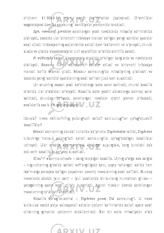 o’lchami 17-30x9-17 mkm, zanjir ko’rinishida joylashadi. O’simliklar vegetatsiyasi davrida zamburug’ konidiyalar yordamida tarqaladi. Sph. rannosaf. persicae zararlangan yosh novdalarda mitseliy ko’rinishida qishlaydi, baxorda ular birlamchi infeksiya manbai bo’lgan yangi konidial sporalar xosil qiladi. Infeksiyaning saqlanishida xaltali davr ikkilamchi rol o’ynaydi, chunki kuzda va qishda kleystotetsiylar turli saprofitlar ta’sirida emirilib ketadi. P. tridactyla asosan kleystotetsiy shaklida to’kilgan barglarda va novdalarda qishlaydi. Baxorda ularda xaltasporali xaltalar etiladi va birlamchi infeksiya manbai bo’lib xizmat qiladi. Mazkur zamburug’da mitseliyning qishlashi va baxorda yangi konidial sporalarning xosil bo’lishi juda kam kuzatiladi. Un shudring asosan yosh ko’chatlarga katta zarar keltiradi, chunki kasallik ta’sirida ular o’sishdan to’xtaydi. Kasallik katta yoshli daraxtlarga kamroq zarar keltiradi, shunday bo’lsada, zararlangan novdalar qishni yomon o’tkazadi, xosildorlik esa 5-7% gacha pasayadi. Danakli meva ekinlarining yalong’och xaltali zamburug’lar qo’zg’atuvchi kasalliklari Mevali ekinlarning danakli turlarida ko’pincha Taphrinales tartibi, Taphrina turkumiga mansub yalang’och xaltali zamburug’lar qo’zg’atadigan kasalliklar uchraydi. Ular orasida «karmoncha», «jodugar supurgisi», barg buralishi deb ataluvchi kasalliklar ko’proq kuzatiladi. Olxo’ri «karmonchasi» – keng tarqalgan kasallik. Uning o’ziga xos belgisi – tugunchaning g’ovlab ketishi vaYangiligida xam, qayta ishlangan xolida ham iste’molga yaroqsiz bo’lgan qopsimon qavariq mevalarning xosil bo’lishi. Bunday mevalarda odatda iyun oxiri – iyul boshlarida kir-kulrang mumsimon g’ubor – patogenning spora xosil qilishi kuzatiladi. Aynan mazkur davrda zararlangan mevalarning to’kilishi kuzatiladi. Kasallik qo’zg’atuvchisi – Taphrina pruni Tul zamburug’i. U meva kutikulasi ostida yalpi xaltasporali xaltalar qatlami ko’rinishida xaltali spora xosil qilishning gimenial qatlamini shakllantiradi. Xar bir xalta mitseliydan o’sib 