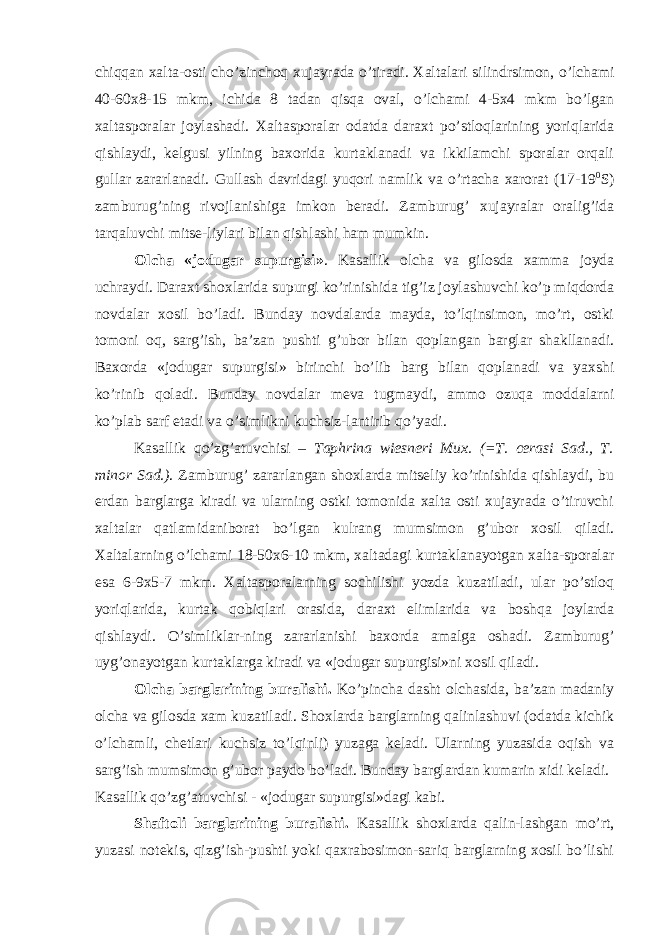 chiqqan xalta-osti cho’zinchoq xujayrada o’tiradi. Xaltalari silindrsimon, o’lchami 40-60x8-15 mkm, ichida 8 tadan qisqa oval, o’lchami 4-5x4 mkm bo’lgan xaltasporalar joylashadi. Xaltasporalar odatda daraxt po’stloqlarining yoriqlarida qishlaydi, kelgusi yilning baxorida kurtaklanadi va ikkilamchi sporalar orqali gullar zararlanadi. Gullash davridagi yuqori namlik va o’rtacha xarorat (17-19 0 S) zamburug’ning rivojlanishiga imkon beradi. Zamburug’ xujayralar oralig’ida tarqaluvchi mitse-liylari bilan qishlashi ham mumkin. Olcha «jodugar supurgisi» . Kasallik olcha va gilosda xamma joyda uchraydi. Daraxt shoxlarida supurgi ko’rinishida tig’iz joylashuvchi ko’p miqdorda novdalar xosil bo’ladi. Bunday novdalarda mayda, to’lqinsimon, mo’rt, ostki tomoni oq, sarg’ish, ba’zan pushti g’ubor bilan qoplangan barglar shakllanadi. Baxorda «jodugar supurgisi» birinchi bo’lib barg bilan qoplanadi va yaxshi ko’rinib qoladi. Bunday novdalar meva tugmaydi, ammo ozuqa moddalarni ko’plab sarf etadi va o’simlikni kuchsiz-lantirib qo’yadi. Kasallik qo’zg’atuvchisi – Taphrina wiesneri Mux. (=T. cerasi Sad., T. minor Sad.) . Zamburug’ zararlangan shoxlarda mitseliy ko’rinishida qishlaydi, bu erdan barglarga kiradi va ularning ostki tomonida xalta osti xujayrada o’tiruvchi xaltalar qatlamidaniborat bo’lgan kulrang mumsimon g’ubor xosil qiladi. Xaltalarning o’lchami 18-50x6-10 mkm, xaltadagi kurtaklanayotgan xalta-sporalar esa 6-9x5-7 mkm. Xaltasporalarning sochilishi yozda kuzatiladi, ular po’stloq yoriqlarida, kurtak qobiqlari orasida, daraxt elimlarida va boshqa joylarda qishlaydi. O’simliklar-ning zararlanishi baxorda amalga oshadi. Zamburug’ uyg’onayotgan kurtaklarga kiradi va «jodugar supurgisi»ni xosil qiladi. Olcha barglarining buralishi. Ko’pincha dasht olchasida, ba’zan madaniy olcha va gilosda xam kuzatiladi. Shoxlarda barglarning qalinlashuvi (odatda kichik o’lchamli, chetlari kuchsiz to’lqinli) yuzaga keladi. Ularning yuzasida oqish va sarg’ish mumsimon g’ubor paydo bo’ladi. Bunday barglardan kumarin xidi keladi. Kasallik qo’zg’atuvchisi - «jodugar supurgisi»dagi kabi. Shaftoli barglarining buralishi. Kasallik shoxlarda qalin-lashgan mo’rt, yuzasi notekis, qizg’ish-pushti yoki qaxrabosimon-sariq barglarning xosil bo’lishi 