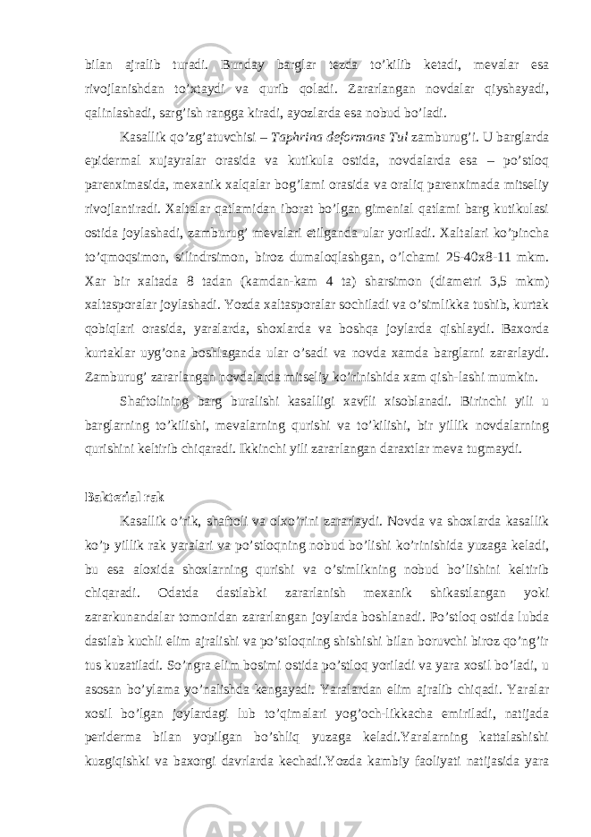 bilan ajralib turadi. Bunday barglar tezda to’kilib ketadi, mevalar esa rivojlanishdan to’xtaydi va qurib qoladi. Zararlangan novdalar qiyshayadi, qalinlashadi, sarg’ish rangga kiradi, ayozlarda esa nobud bo’ladi. Kasallik qo’zg’atuvchisi – Taphrina deformans Tul zamburug’i. U barglarda epidermal xujayralar orasida va kutikula ostida, novdalarda esa – po’stloq parenximasida, mexanik xalqalar bog’lami orasida va oraliq parenximada mitseliy rivojlantiradi. Xaltalar qatlamidan iborat bo’lgan gimenial qatlami barg kutikulasi ostida joylashadi, zamburug’ mevalari etilganda ular yoriladi. Xaltalari ko’pincha to’qmoqsimon, silindrsimon, biroz dumaloqlashgan, o’lchami 25-40x8-11 mkm. Xar bir xaltada 8 tadan (kamdan-kam 4 ta) sharsimon (diametri 3,5 mkm) xaltasporalar joylashadi. Yozda xaltasporalar sochiladi va o’simlikka tushib, kurtak qobiqlari orasida, yaralarda, shoxlarda va boshqa joylarda qishlaydi. Baxorda kurtaklar uyg’ona boshlaganda ular o’sadi va novda xamda barglarni zararlaydi. Zamburug’ zararlangan novdalarda mitseliy ko’rinishida xam qish-lashi mumkin. Shaftolining barg buralishi kasalligi xavfli xisoblanadi. Birinchi yili u barglarning to’kilishi, mevalarning qurishi va to’kilishi, bir yillik novdalarning qurishini keltirib chiqaradi. Ikkinchi yili zararlangan daraxtlar meva tugmaydi. Bakterial rak Kasallik o’rik, shaftoli va olxo’rini zararlaydi. Novda va shoxlarda kasallik ko’p yillik rak yaralari va po’stloqning nobud bo’lishi ko’rinishida yuzaga keladi, bu esa aloxida shoxlarning qurishi va o’simlikning nobud bo’lishini keltirib chiqaradi. Odatda dastlabki zararlanish mexanik shikastlangan yoki zararkunandalar tomonidan zararlangan joylarda boshlanadi. Po’stloq ostida lubda dastlab kuchli elim ajralishi va po’stloqning shishishi bilan boruvchi biroz qo’ng’ir tus kuzatiladi. So’ngra elim bosimi ostida po’stloq yoriladi va yara xosil bo’ladi, u asosan bo’ylama yo’nalishda kengayadi. Yaralardan elim ajralib chiqadi. Yaralar xosil bo’lgan joylardagi lub to’qimalari yog’och-likkacha emiriladi, natijada periderma bilan yopilgan bo’shliq yuzaga keladi.Yaralarning kattalashishi kuzgiqishki va baxorgi davrlarda kechadi.Yozda kambiy faoliyati natijasida yara 