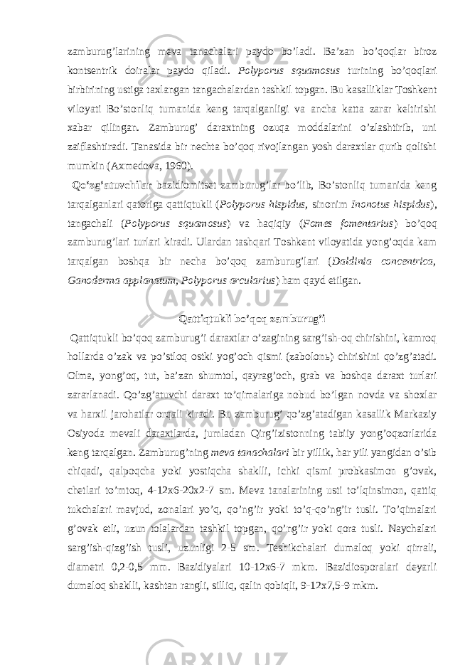 zamburug’larining meva tanachalari paydo bo’ladi. Ba’zan bo’qoqlar biroz kontsentrik doiralar paydo qiladi. Polyporus squamosus turining bo’qoqlari birbirining ustiga taxlangan tangachalardan tashkil topgan. Bu kasalliklar Toshkent viloyati Bo’stonliq tumanida keng tarqalganligi va ancha katta zarar keltirishi xabar qilingan. Zamburug’ daraxtning ozuqa moddalarini o’zlashtirib, uni zaiflashtiradi. Tanasida bir nechta bo’qoq rivojlangan yosh daraxtlar qurib qolishi mumkin (Axmedova, 1960). Qo’zg’atuvchilar bazidiomitset zamburug’lar bo’lib, Bo’stonliq tumanida keng tarqalganlari qatoriga qattiqtukli ( Polyporus hispidus, sinonim Inonotus hispidus ), tangachali ( Polyporus squamosus ) va haqiqiy ( Fomes fomentarius ) bo’qoq zamburug’lari turlari kiradi. Ulardan tashqari Toshkent viloyatida yong’oqda kam tarqalgan boshqa bir necha bo’qoq zamburug’lari ( Daldinia concentrica, Ganoderma applanatum, Polyporus arcularius ) ham qayd etilgan. Qattiqtukli bo’qoq zamburug’i Qattiqtukli bo’qoq zamburug’i daraxtlar o’zagining sarg’ish-oq chirishini, kamroq hollarda o’zak va po’stloq ostki yog’och qismi (zabolon ь ) chirishini qo’zg’atadi. Olma, yong’oq, tut, ba’zan shumtol, qayrag’och, grab va boshqa daraxt turlari zararlanadi. Qo’zg’atuvchi daraxt to’qimalariga nobud bo’lgan novda va shoxlar va harxil jarohatlar orqali kiradi. Bu zamburug’ qo’zg’atadigan kasallik Markaziy Osiyoda mevali daraxtlarda, jumladan Qirg’izistonning tabiiy yong’oqzorlarida keng tarqalgan. Zamburug’ning meva tanachalari bir yillik, har yili yangidan o’sib chiqadi, qalpoqcha yoki yostiqcha shaklli, ichki qismi probkasimon g’ovak, chetlari to’mtoq, 4-12x6-20x2-7 sm. Meva tanalarining usti to’lqinsimon, qattiq tukchalari mavjud, zonalari yo’q, qo’ng’ir yoki to’q-qo’ng’ir tusli. To’qimalari g’ovak etli, uzun tolalardan tashkil topgan, qo’ng’ir yoki qora tusli. Naychalari sarg’ish-qizg’ish tusli, uzunligi 2-5 sm. Teshikchalari dumaloq yoki qirrali, diametri 0,2-0,5 mm. Bazidiyalari 10-12x6-7 mkm. Bazidiosporalari deyarli dumaloq shaklli, kashtan rangli, silliq, qalin qobiqli, 9-12x7,5-9 mkm. 