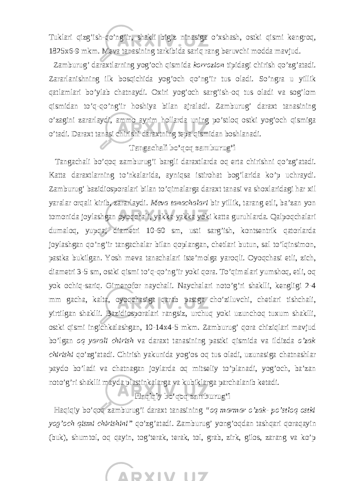 Tuklari qizg’ish-qo’ng’ir, shakli bigiz ninasiga o’xshash, ostki qismi kengroq, 1825x6-9 mkm. Meva tanasining tarkibida sariq rang beruvchi modda mavjud. Zamburug’ daraxtlarning yog’och qismida korrozion tipidagi chirish qo’zg’atadi. Zararlanishning ilk bosqichida yog’och qo’ng’ir tus oladi. So’ngra u yillik qatlamlari bo’ylab chatnaydi. Oxiri yog’och sarg’ish-oq tus oladi va sog’lom qismidan to’q-qo’ng’ir hoshiya bilan ajraladi. Zamburug’ daraxt tanasining o’zagini zararlaydi, ammo ayrim hollarda uning po’stloq ostki yog’och qismiga o’tadi. Daraxt tanasi chirishi daraxtning tepa qismidan boshlanadi. Tangachali bo’qoq zamburug’i Tangachali bo’qoq zamburug’i bargli daraxtlarda oq erta chirishni qo’zg’atadi. Katta daraxtlarning to’nkalarida, ayniqsa istirohat bog’larida ko’p uchraydi. Zamburug’ bazidiosporalari bilan to’qimalarga daraxt tanasi va shoxlaridagi har xil yaralar orqali kirib, zararlaydi. Meva tanachalari bir yillik, tarang etli, ba’zan yon tomonida joylashgan oyoqchali, yakka-yakka yoki katta guruhlarda. Qalpoqchalari dumaloq, yupqa, diametri 10-60 sm, usti sarg’ish, kontsentrik qatorlarda joylashgan qo’ng’ir tangachalar bilan qoplangan, chetlari butun, sal to’lqinsimon, pastka bukilgan. Yosh meva tanachalari iste’molga yaroqli. Oyoqchasi etli, zich, diametri 3-5 sm, ostki qismi to’q-qo’ng’ir yoki qora. To’qimalari yumshoq, etli, oq yok ochiq-sariq. Gimenofor naychali. Naychalari noto’g’ri shaklli, kengligi 2-4 mm gacha, kalta, oyoqchasiga qarab pastga cho’ziluvchi, chetlari tishchali, yirtilgan shaklli. Bazidiosporalari rangsiz, urchuq yoki uzunchoq tuxum shaklli, ostki qismi ingichkalashgan, 10-14x4-5 mkm. Zamburug’ qora chiziqlari mavjud bo’lgan oq yarali chirish va daraxt tanasining pastki qismida va ildizda o’zak chirishi qo’zg’atadi. Chirish yakunida yog’os oq tus oladi, uzunasiga chatnashlar paydo bo’ladi va chatnagan joylarda oq mitseliy to’planadi, yog’och, ba’zan noto’g’ri shaklli mayda plastinkalarga va kubiklarga parchalanib ketadi. Haqiqiy bo’qoq zamburug’i Haqiqiy bo’qoq zamburug’i daraxt tanasining “oq marmar o’zak- po’stloq ostki yog’och qismi chirishini” qo’zg’atadi. Zamburug’ yong’oqdan tashqari qoraqayin (buk), shumtol, oq qayin, tog’terak, terak, tol, grab, zirk, gilos, zarang va ko’p 