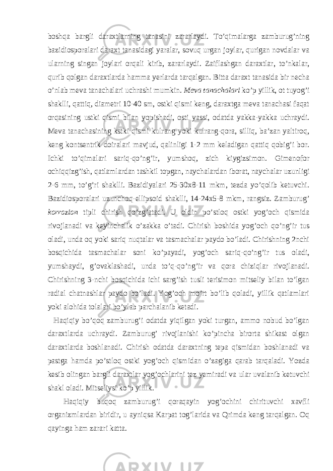 boshqa bargli daraxtlarning tanasini zararlaydi. To’qimalarga zamburug’ning bazidiosporalari daraxt tanasidagi yaralar, sovuq urgan joylar, qurigan novdalar va ularning singan joylari orqali kirib, zararlaydi. Zaiflashgan daraxtlar, to’nkalar, qurib qolgan daraxtlarda hamma yerlarda tarqalgan. Bitta daraxt tanasida bir necha o’nlab meva tanachalari uchrashi mumkin. Meva tanachalari ko’p yillik, ot tuyog’i shaklli, qattiq, diametri 10-40 sm, ostki qismi keng, daraxtga meva tanachasi faqat orqasining ustki qismi bilan yopishadi, osti yassi, odatda yakka-yakka uchraydi. Meva tanachasining kstki qismi kulrang yoki kulrang-qora, silliq, ba’zan yaltiroq, keng kontsentrik doiralari mavjud, qalinligi 1-2 mm keladigan qattiq qobig’i bor. Ichki to’qimalari sariq-qo’ng’ir, yumshoq, zich kiygizsimon. Gimenofor ochiqqizg’ish, qatlamlardan tashkil topgan, naychalardan iborat, naychalar uzunligi 2-6 mm, to’g’ri shaklli. Bazidiyalari 25-30x8-11 mkm, tezda yo’qolib ketuvchi. Bazidiosporalari uzunchoq-ellipsoid shaklli, 14-24x5-8 mkm, rangsiz. Zamburug’ korrozion tipli chirish qo’zg’atadi. U oldin po’stloq ostki yog’och qismida rivojlanadi va keyinchalik o’zakka o’tadi. Chirish boshida yog’och qo’ng’ir tus oladi, unda oq yoki sariq nuqtalar va tasmachalar paydo bo’ladi. Chirishning 2nchi bosqichida tasmachalar soni ko’payadi, yog’och sariq-qo’ng’ir tus oladi, yumshaydi, g’ovaklashadi, unda to’q-qo’ng’ir va qora chiziqlar rivojlanadi. Chirishning 3-nchi bosqichida ichi sarg’ish tusli terisimon mitseliy bilan to’lgan radial chatnashlar paydo bo’ladi. Yog’och mo’rt bo’lib qoladi, yillik qatlamlari yoki alohida tolalari bo’ylab parchalanib ketadi. Haqiqiy bo’qoq zamburug’i odatda yiqilgan yoki turgan, ammo nobud bo’lgan daraxtlarda uchraydi. Zamburug’ rivojlanishi ko’pincha birorta shikast olgan daraxtlarda boshlanadi. Chirish odatda daraxtning tepa qismidan boshlanadi va pastga hamda po’stloq ostki yog’och qismidan o’zagiga qarab tarqaladi. Yozda kesib olingan bargli daraxtlar yog’ochlarini tez yemiradi va ular uvalanib ketuvchi shakl oladi. Mitseliysi ko’p yillik. Haqiqiy buqoq zamburug’i qoraqayin yog’ochini chirituvchi xavfli organizmlardan biridir, u ayniqsa Karpat tog’larida va Qrimda keng tarqalgan. Oq qayinga ham zarari katta. 