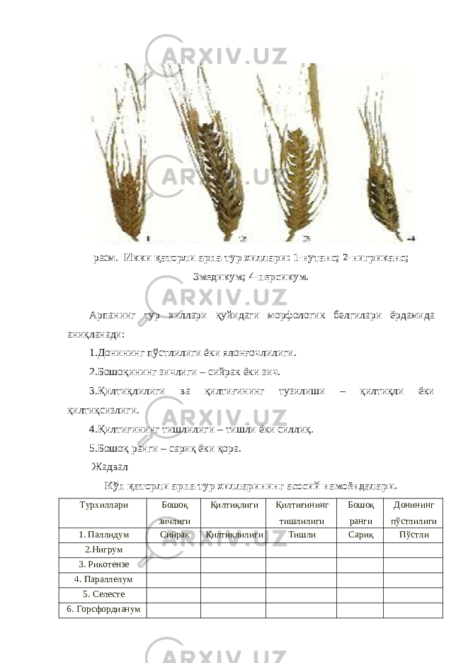  расм. Икки қаторли арпа тур хиллари: 1-нутанс; 2-нигриканс; 3медикум; 4-персикум. Арпанинг тур хиллари қуйидаги морфологик белгилари ёрдамида аниқланади: 1.Донининг пўстлилиги ёки ялонғочлилиги. 2.Бошоқининг зичлиги – сийрак ёки зич. 3.Қилтиқлилиги ва қилтиғининг тузилиши – қилтиқли ёки қилтиқсизлиги. 4.Қилтиғининг тишлилиги – тишли ёки силлиқ. 5.Бошоқ ранги – сариқ ёки қора. Жадвал Кўп қаторли арпа тур хилларининг асосий намоёндалари. Турхиллари Бошоқ зичлиги Қилтиқлиги Қилтиғининг тишлилиги Бошоқ ранги Донининг пўстлилиги 1. Паллидум Сийрак Қилтиқлилиги Тишли Сариқ Пўстли 2.Нигрум 3. Рикотензе 4. Параллелум 5. Селесте 6. Горсфордианум 