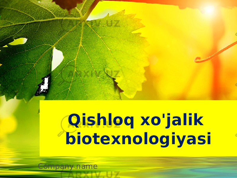 Qishloq xo&#39;jalik biotexnologiyasi Company name 