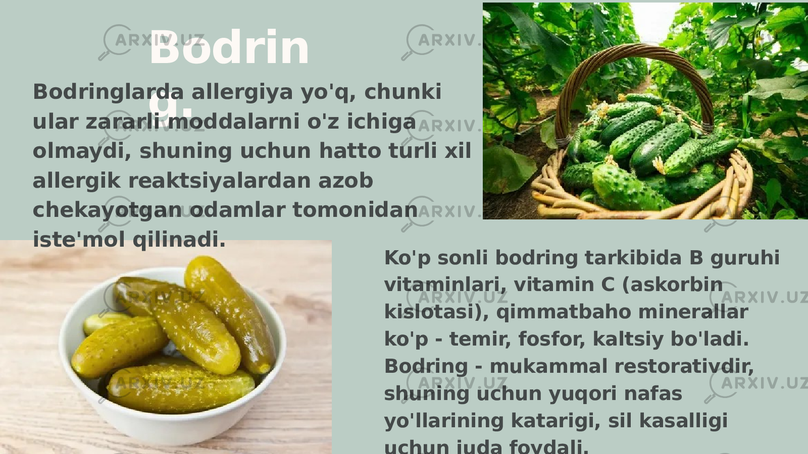 Bodrin g.Bodringlarda allergiya yo&#39;q, chunki ular zararli moddalarni o&#39;z ichiga olmaydi, shuning uchun hatto turli xil allergik reaktsiyalardan azob chekayotgan odamlar tomonidan iste&#39;mol qilinadi. Ko&#39;p sonli bodring tarkibida B guruhi vitaminlari, vitamin C (askorbin kislotasi), qimmatbaho minerallar ko&#39;p - temir, fosfor, kaltsiy bo&#39;ladi. Bodring - mukammal restorativdir, shuning uchun yuqori nafas yo&#39;llarining katarigi, sil kasalligi uchun juda foydali. 